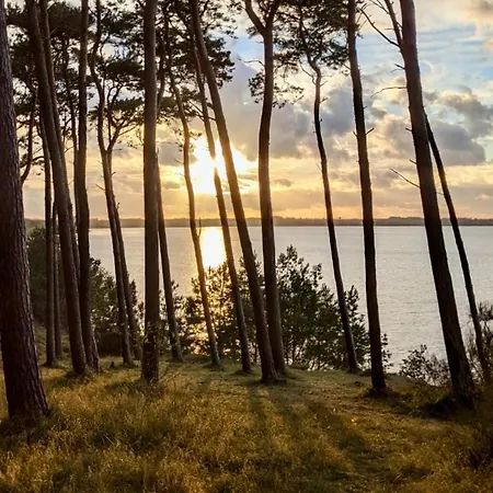 Tallskog - Dein Am Naturstrand Hohen Wieschendorf