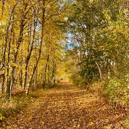 Tallskog - Dein Am Naturstrand Hohen Wieschendorf * Hohenkirchen (Nordwestmecklenburg)
