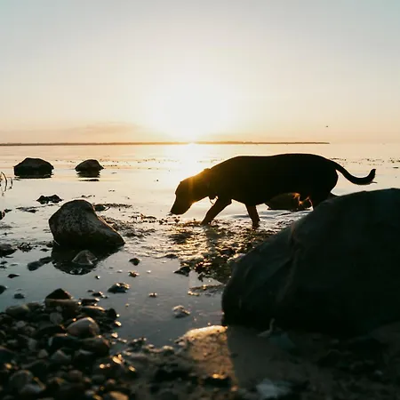 Tallskog - Dein Am Naturstrand Hohen Wieschendorf